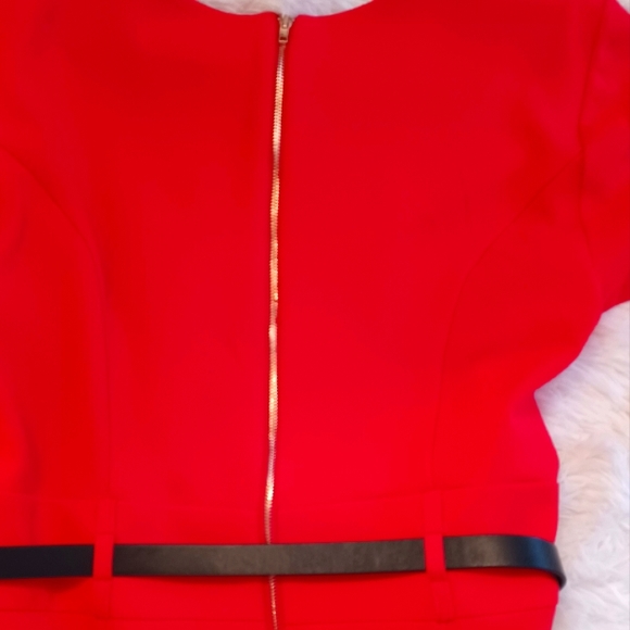 Red Dress - Picture 4 of 4